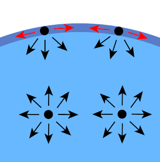 Diagram of the cohesive forces on molecules of a liquid