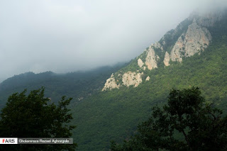 Caspian Hyrcanian Mixed Forests
