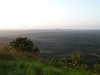 The Kakamega Forest