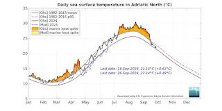 Surface temperature of the upper Adriatic Sea in 2024. Note the excess heat from July to the first decade of September.