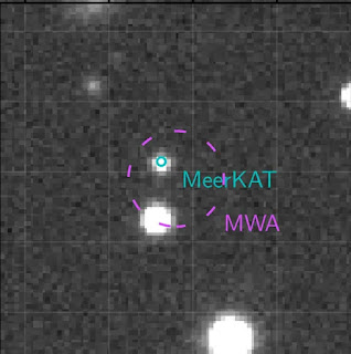 MeerKAT, like MWA is a precursor of the Square Kilometer Array, but can locate sources more precisely, perfectly nailing a red dwarf.