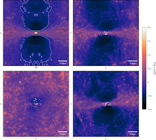 Four-panel scientific visualization showing dark matter density distribution around the Local Group in different orientations with voids and sheet structure