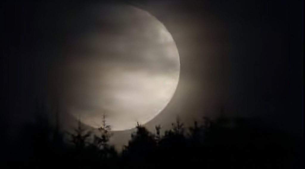 Crescent moon with earthshine glowing over a dark treeline at night — the Da Vinci Glow visible on the unlit lunar surface during April 2026 stargazing season.
