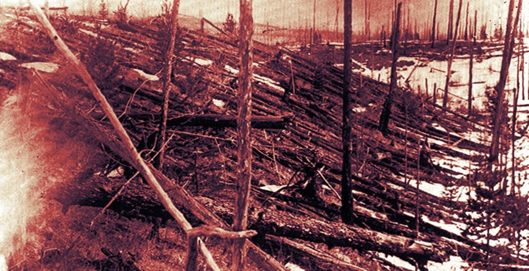 Sepia-toned photo of thousands of trees flattened in parallel rows across the Siberian taiga after the 1908 Tunguska blast, taken during Leonid Kulik's expedition.