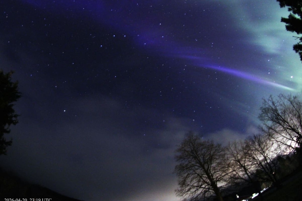 Colorful aurora borealis over trees