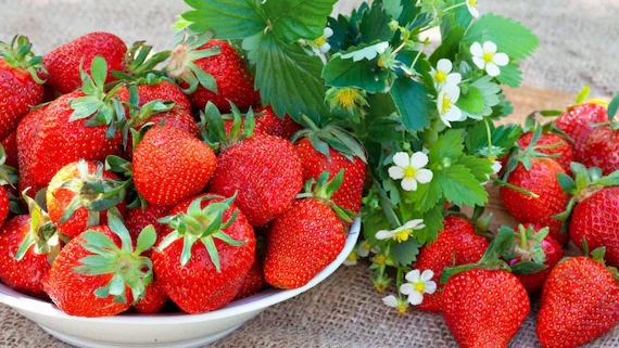 Fresh strawberries with green leaves