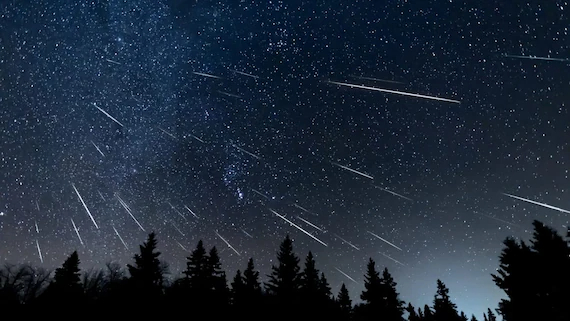 Meteor shower over dark forest