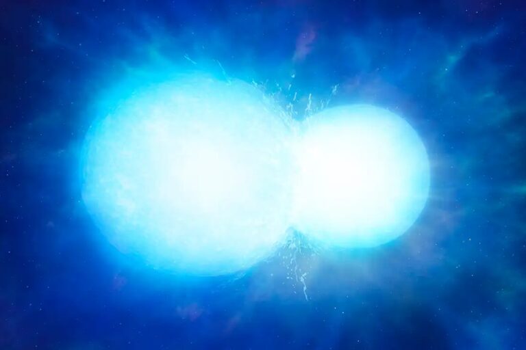 This artist's illustration shows two white dwarf stars merging. Usually, the merger creates a supernova, but new research concludes that two separate and unusual white dwarfs are best explained as merger remnants. The researchers say they are a new class of object.