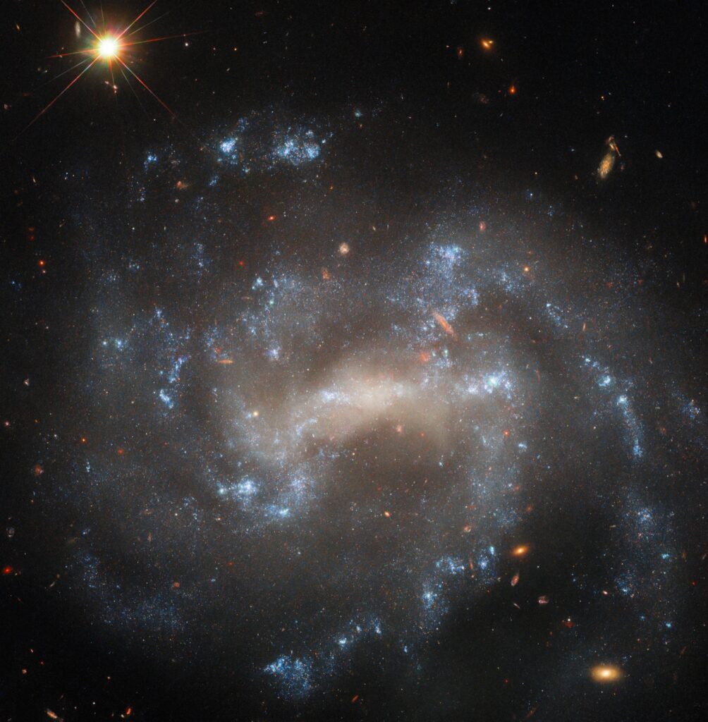 Hubble image of UGC 5460, a face-on barred spiral galaxy in Ursa Major, showing bright star clusters, spiral arms, and an active galactic nucleus.
