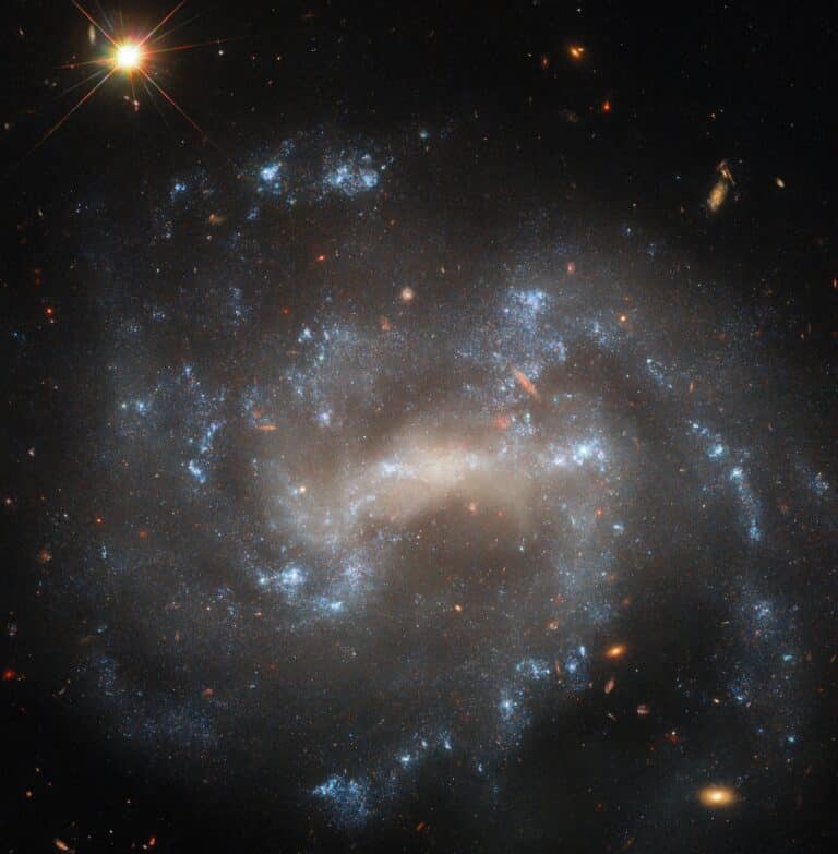 Hubble image of UGC 5460, a face-on barred spiral galaxy in Ursa Major, showing bright star clusters, spiral arms, and an active galactic nucleus.