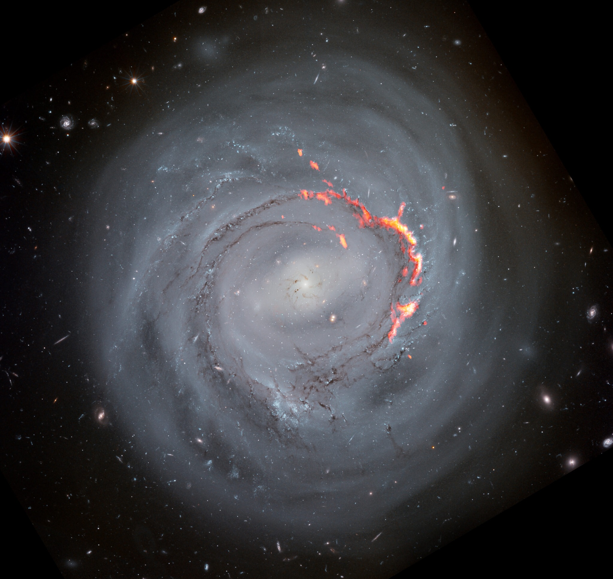 NGC 4921 boomerang effect: composite Hubble and ALMA image showing molecular gas filaments stripped and returning to the galaxy