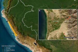 Chincha Valley