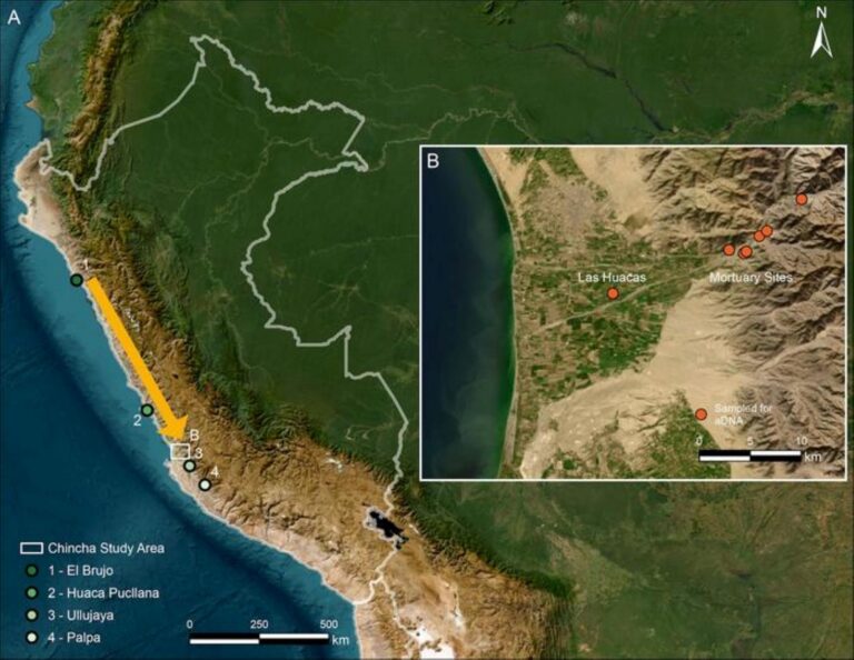 Chincha Valley