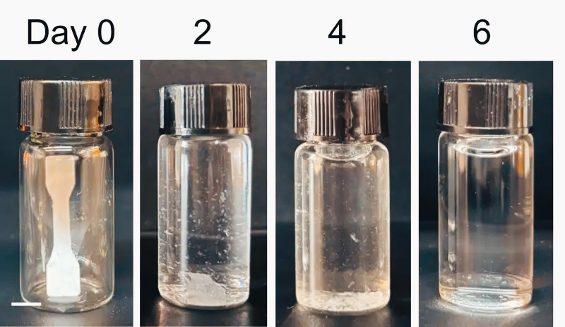 Living plastic: the transition from durable polymer to self-destructing material