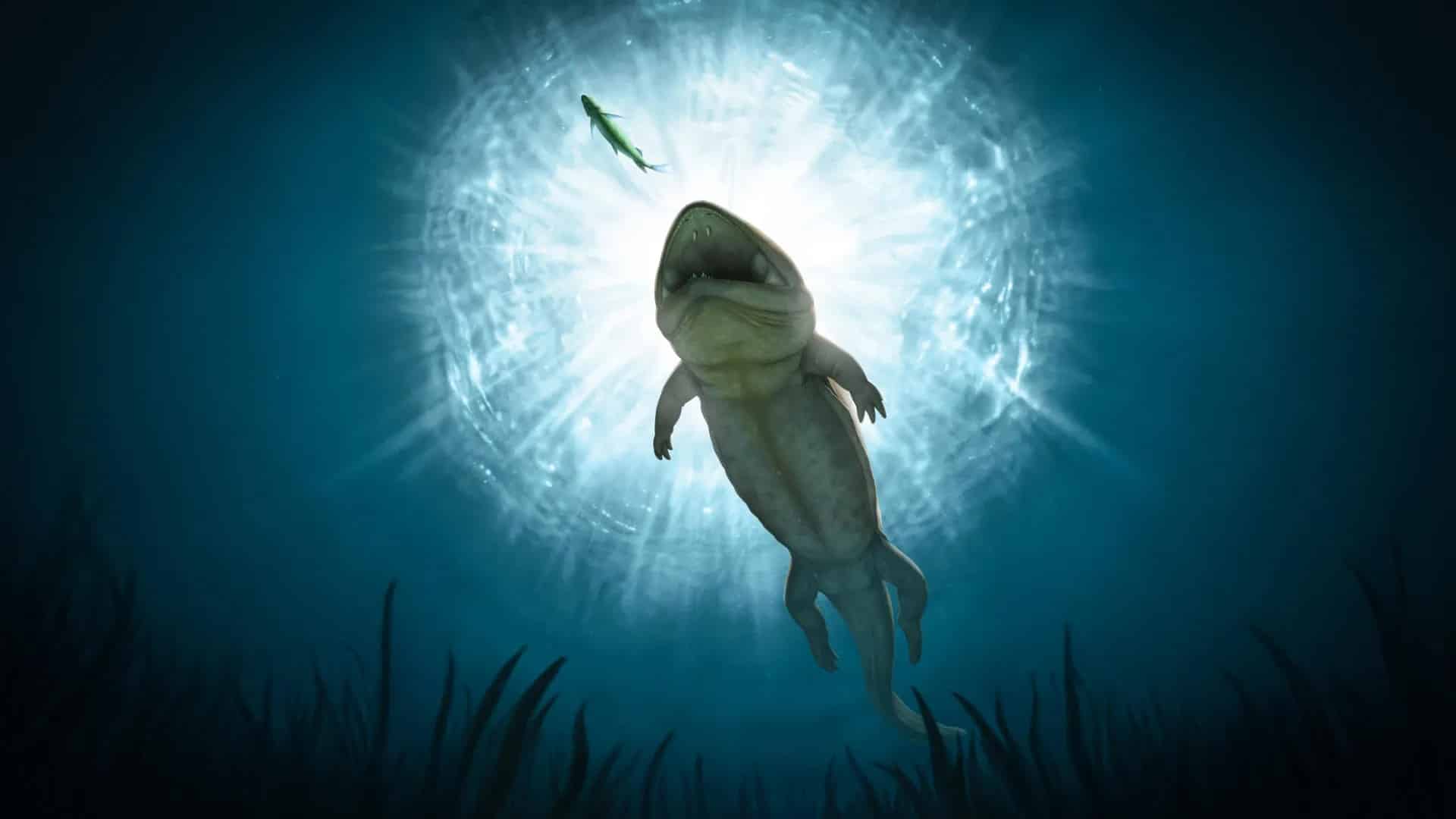 arenaerpeton-supinatus