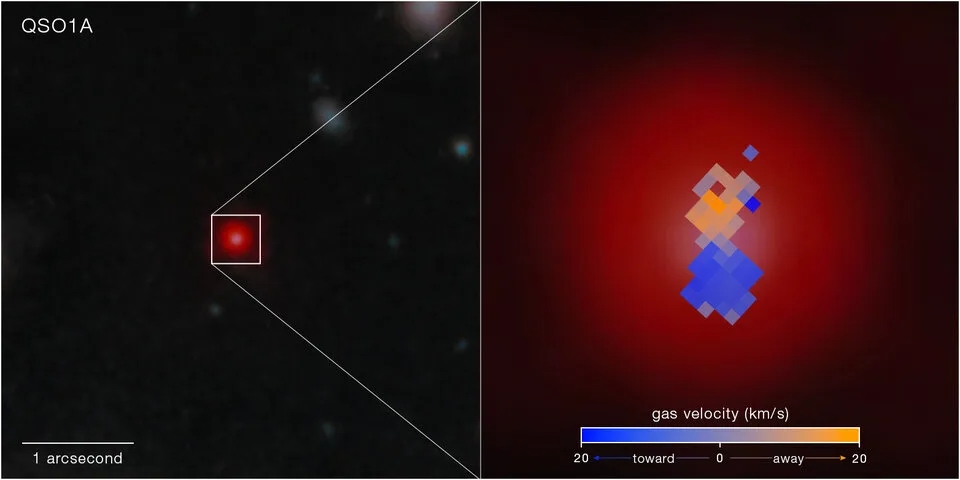 James Webb telescope view of Little Red Dot QSO1A, with a gas-velocity map showing Keplerian rotation around its 50-million-solar-mass black hole.
