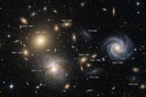 Fornax cluster: new twin galaxies found lacking dark matter