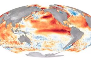 Global sea surface temperature anomaly map showing warm red bands across the equatorial Pacific Ocean, signaling developing El Ni&ntilde;o 2026 conditions per WMO forecast.