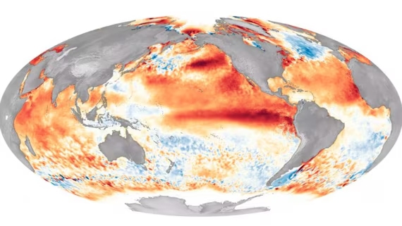 Global sea surface temperature anomaly map showing warm red bands across the equatorial Pacific Ocean, signaling developing El Ni&ntilde;o 2026 conditions per WMO forecast.