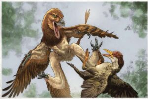 The new microraptor dinosaur Jian changmaensis (left) attacks the early bird Gansus yumenensis (right) in what is now the Changma Basin of northwestern China approximately 120 million years ago