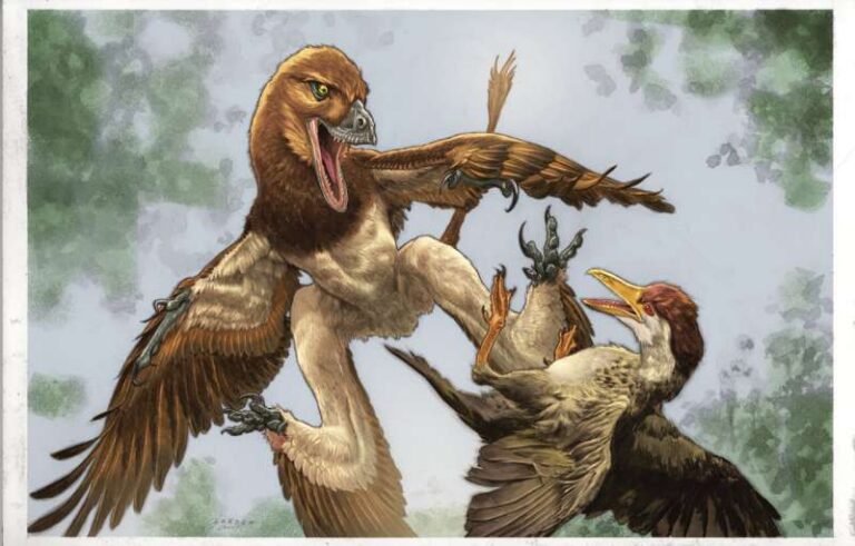 The new microraptor dinosaur Jian changmaensis (left) attacks the early bird Gansus yumenensis (right) in what is now the Changma Basin of northwestern China approximately 120 million years ago